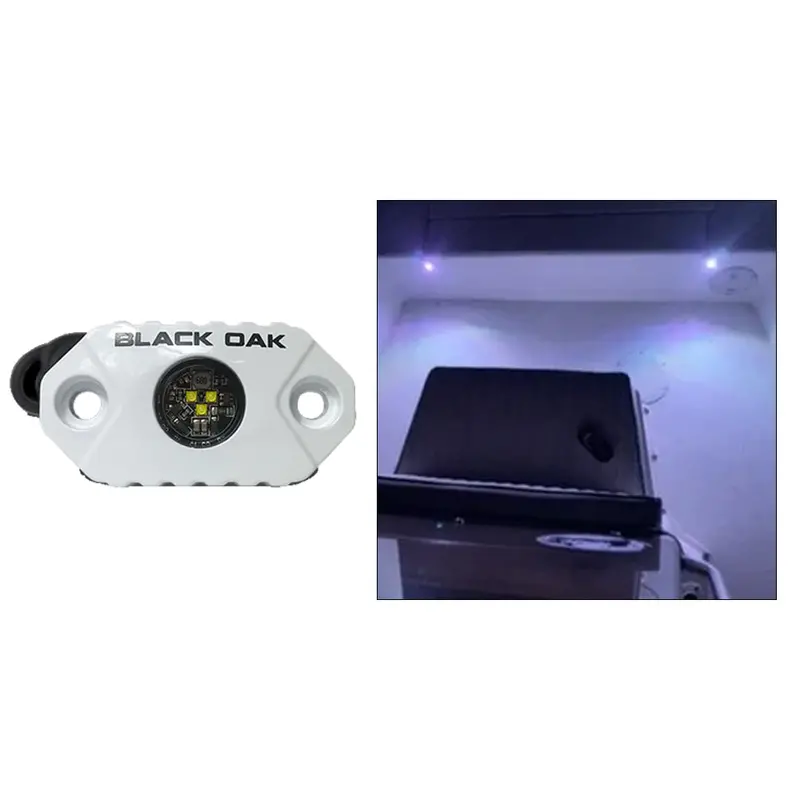 Black Oak Mal-W Rock Accent Light – White Leds – White Housing 1