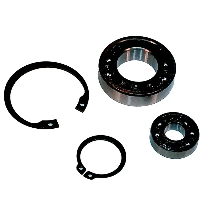 Maxwell 300–3500 Series Bearing Replacement Kit [P90007] 1