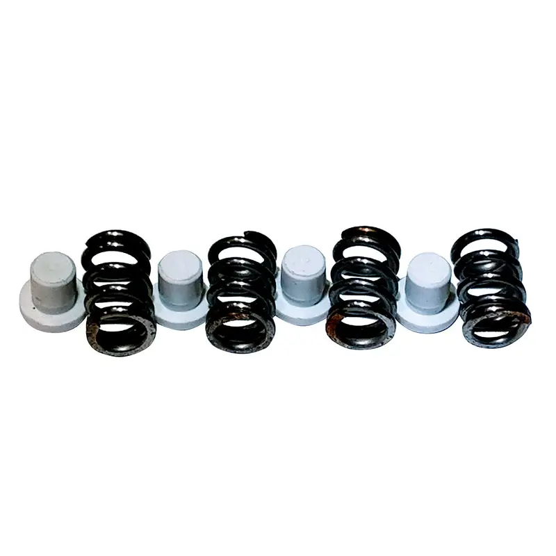 Maxwell P101550 Plunger And Spring Kit For 2200–4500 Windlass Models 1