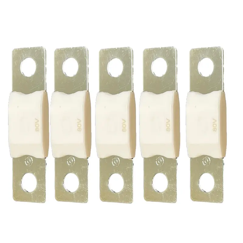 Victron Mega Fuse – 80 A / 80 V, Pack Of 5 1